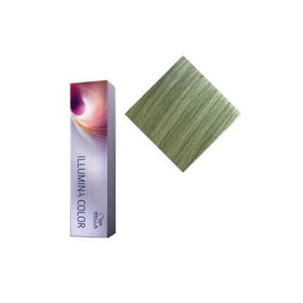 WE Illumina Color Оливковый Хром, 60 мл.