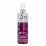 Nexxt Super Silver Blond Intense Plus, Серебристый двухфазный спрей-кондиционер, 200 мл