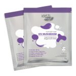KRISTI HYDROGEL MASK ICE MUSHROOM Гидрогелевая маска ЛЕДЯНОЙ ГРИБ 1 шт